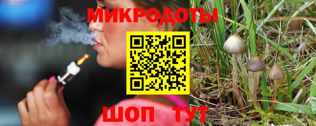 Псилоцибиновые грибы прущие грибы Арзамас