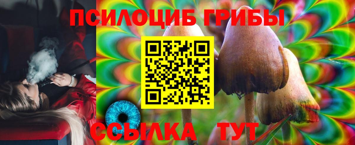 Арзамас  Псилоцибиновые грибы MAGIC MUSHROOMS  Вход с VPN 